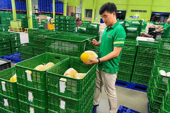 Bán lẻ đua mở rộng về nông thôn | Bài 2: Cơ hội cho nông sản địa phương