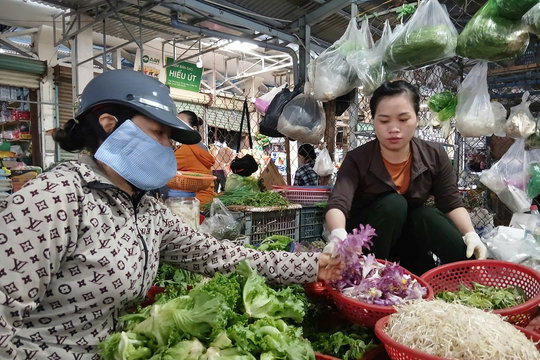 "Vua” rau gia vị xứ Nẫu, mọc hoang mà hái ra tiền
