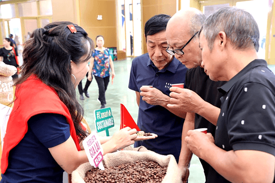 Cà phê Gia Lai: Hành trình từ cao nguyên đến kệ siêu thị xứ cờ hoa