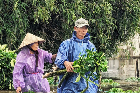Nông dân miền Trung trả 150% chi phí cho thời tiết cực đoan