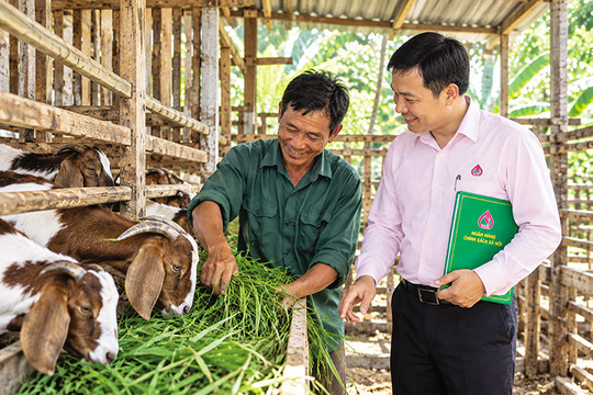 Đưa tín dụng chính sách bén rễ, nảy mầm sinh kế từ cơ sở