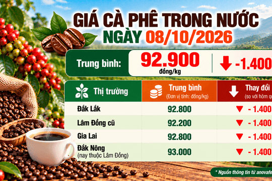 Giá cà phê trong nước 'bốc hơi' 1.400 đồng/kg