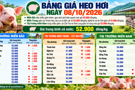 Giá heo hơi bình quân còn 52.900 đồng/kg