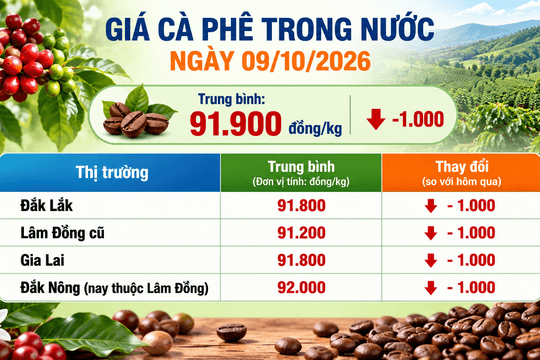 Giá cà phê trong nước giảm thêm 1.000 đồng/kg