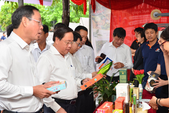 TP.HCM triển khai 4 mô hình nông thôn mới hiện đại tại xã Bình Mỹ