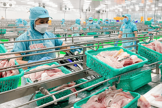 Cuối tháng 11: Anh siết chặt quy định IUU