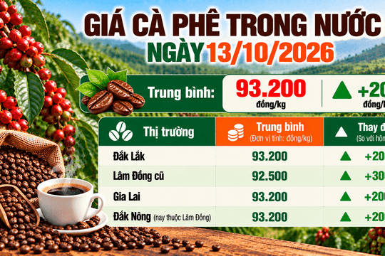 Giá cà phê nội địa tăng 200 - 300 đồng/kg