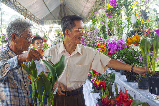 Ba phương thức hỗ trợ các dự án phát triển sản xuất liên kết theo chuỗi ở nông thôn