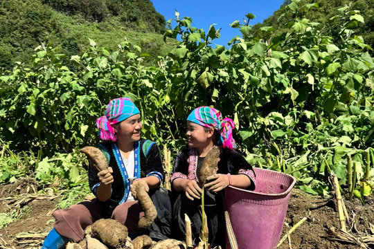 Phụ nữ giỏi sản xuất, sao vẫn bị xem là không hợp làm lãnh đạo?