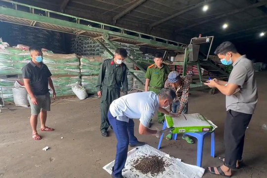 Khi phân bón giả ra tới ruộng, ai đền cho người nông dân?