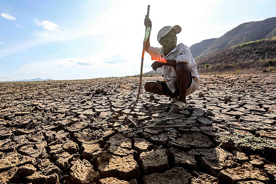 Thị trường phân bón trước bão El Niño 2027: Bài toán sinh tồn cho bộ rễ cây trồng