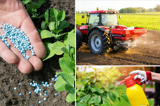 Nguồn phân bón tắc nghẽn, thị trường nông sản biến động