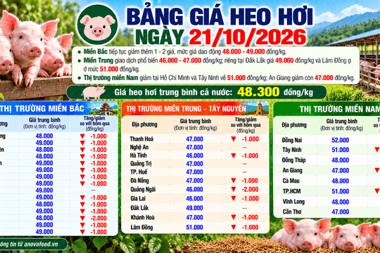 Giá heo hơi tiếp tục lao dốc tại nhiều địa phương, có nơi còn 46.000 đồng