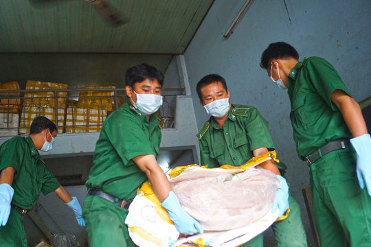 Heo nhiễm chất tạo nạc, phân bón giả… ngành Công an có giải pháp gì?