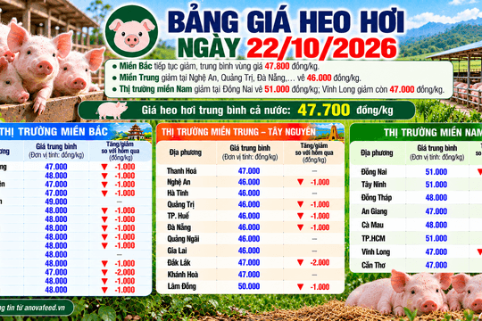 Giá heo hơi nối dài đà giảm tại nhiều địa phương