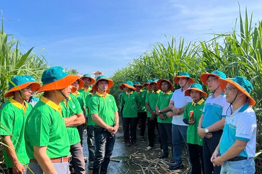PVFCCo - Phú Mỹ: 9 tháng lội ngược dòng biến động, mở rộng dư địa tăng trưởng