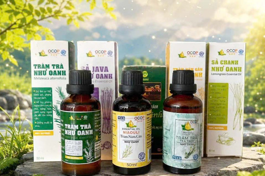 Người phụ nữ mở lối đi riêng, đưa tinh dầu quê ra thị trường lớn