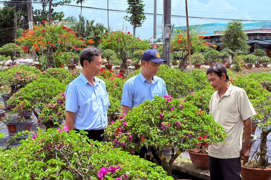 Chợ hoa xuân Bình Điền, 13 năm giúp nhà vườn giảm chi phí vụ Tết