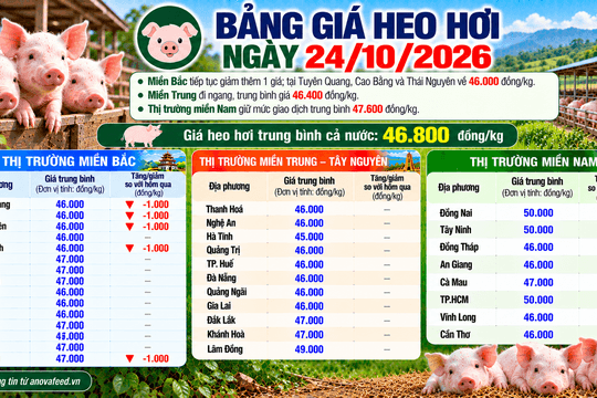 Giá heo hơi chưa dứt đà giảm, có nơi còn 45.000 đồng/kg