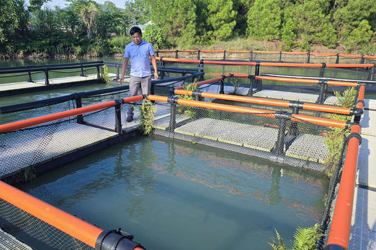 Chế tạo lồng nuôi cá giúp nông dân vượt bão