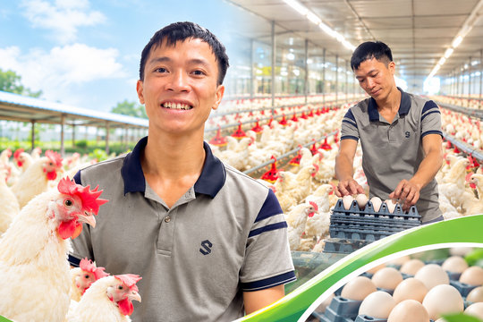 Thanh niên Hà Tĩnh bỏ túi tiền tỷ mỗi năm nhờ nuôi gà siêu trứng