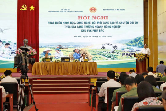 Để 2 triệu/m3 gỗ keo thành 2.500 USD: 'Đũa thần' là công nghệ!