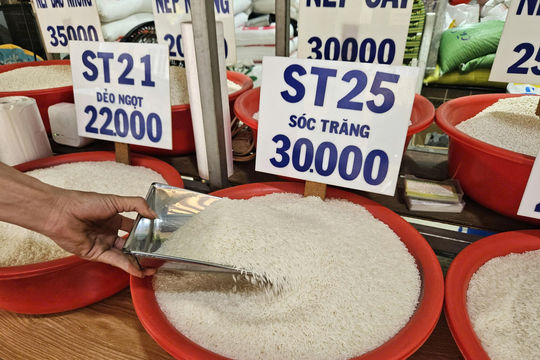 Gạo ST25 gây tranh cãi vì thành phần chỉ ghi tối thiểu 55% ST25