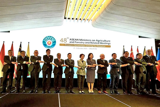 Việt Nam đề xuất 3 ưu tiên hợp tác nông - lâm nghiệp ASEAN
