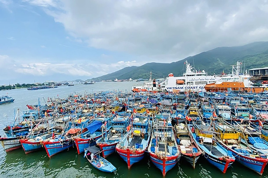 Huế - Quảng Ngãi: Tổng lực phòng tránh lũ, lên phương án sơ tán dân và dự trữ khẩn cấp