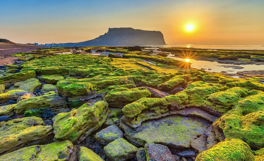 Jeju – cứ chầm chậm mà... yêu