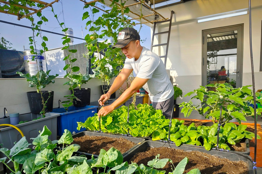 Ăn Tết kiểu... chủ vườn rau sân thượng