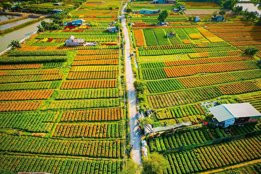 TP.HCM: Tam nông 'ở đâu' từ Luật Đô thị đặc biệt?
