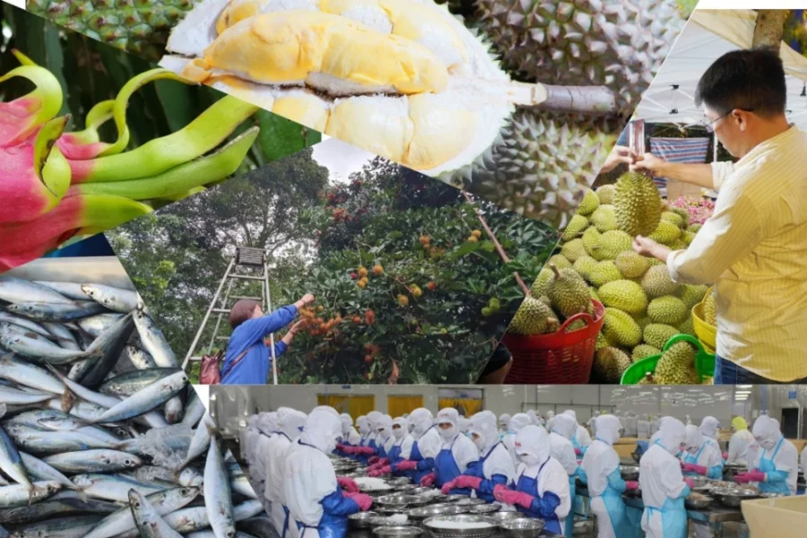 Nông nghiệp 2026: Đừng để ‘giấy phép’ làm nghẽn dòng chảy 74 tỉ USD