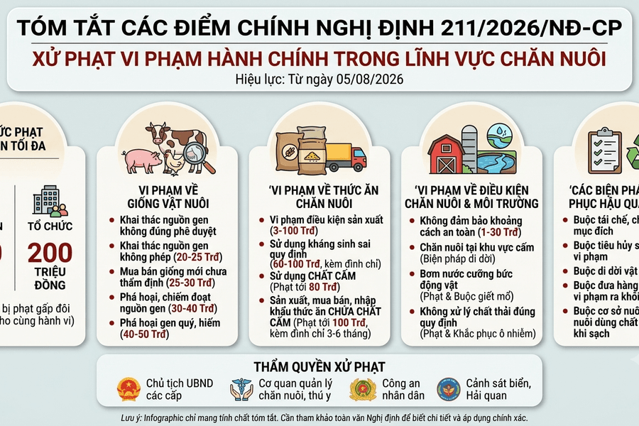Tháng 8/2026: Nhiều quy định mới trong chăn nuôi và thú y