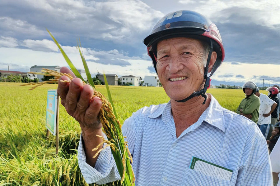 Thương nhớ 'Gạo de An Cựu mà nuôi mẹ già'