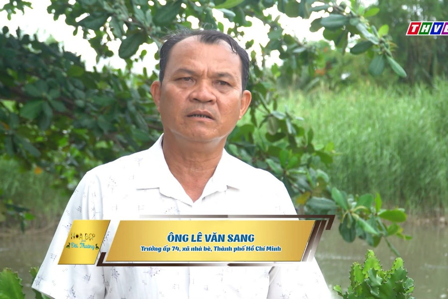 ‘Hoa đẹp giữa đời thường’: Những trái tim thầm lặng sưởi ấm Sài Gòn