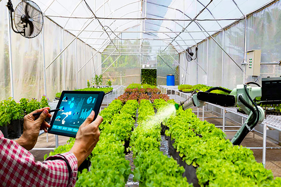 Đưa nông sản sạch lên ngôi: TP.HCM đột phá với đề án an toàn thực phẩm 2026 - 2030