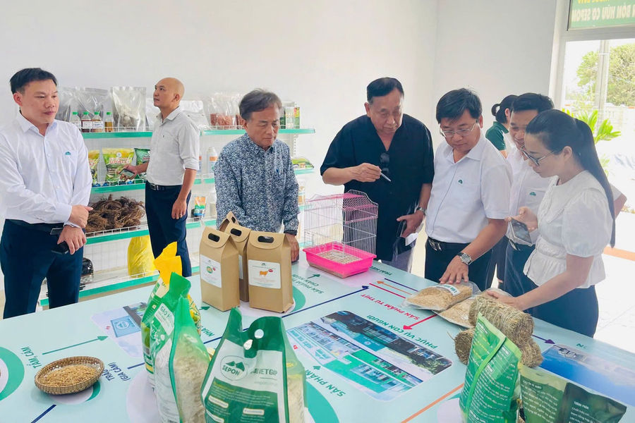 Gạo hữu cơ Quảng Trị 'chạm' tới kệ hàng K-Market